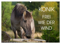 Konik - Frei geboren (Wandkalender 2025 DIN A2 quer), CALVENDO Monatskalender