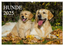 Hunde - Treue Freunde für´s Leben (Wandkalender 2025 DIN A2 quer), CALVENDO Monatskalender