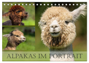 Alpakas im Portrait (Tischkalender 2024 DIN A5 quer), CALVENDO Monatskalender