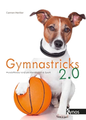 Gymnastricks 2.0