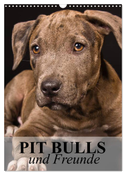 Pit Bulls und Freunde (Wandkalender 2024 DIN A3 hoch), CALVENDO Monatskalender