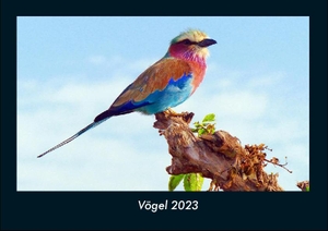 Tobias Becker. Vögel 2023 Fotokalender DIN A4 - Monatskalender mit Bild-Motiven von Haustieren, Bauernhof, wilden Tieren und Raubtieren. Vero Kalender, 2022.