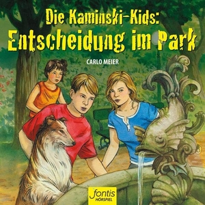 Meier, Carlo. Die Kaminski-Kids: Entscheidung im Park. fontis, 2017.