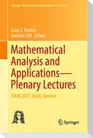 Mathematical Analysis and Applications¿Plenary Lectures