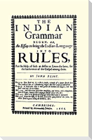 The Indian Grammar Begun
