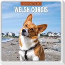 Welsh Corgis - Welsh Corgi 2027 - 16-Monatskalender