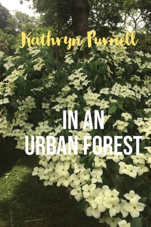 Purnell, Kathryn. In an Urban Forest. J R Garran, 2020.