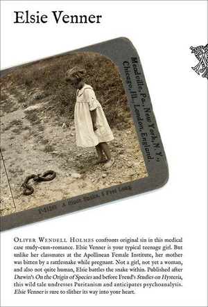 Holmes, Oliver Wendell. Elsie Venner. Mandylion Press, 2025.
