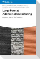 Large Format Additive Manufacturing