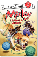 Marley Learns a Lesson