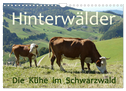 Hinterwälder - Die Kühe aus dem Schwarzwald (Wandkalender 2024 DIN A4 quer), CALVENDO Monatskalender