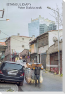 Istanbul Diary