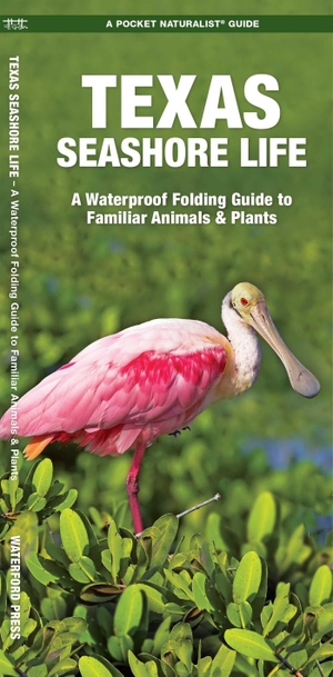 Kavanagh, James. Texas Seashore Life, 3rd Ed - A Folding Guide to Familiar Animals & Plants. Globe Pequot Publishing Group Inc, 2023.