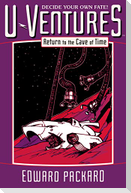 Return to the Cave of Time