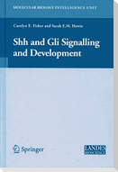 Shh and Gli Signalling in Development