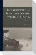 The Struggle in Flanders on the Western Front, 1917