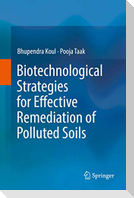 Biotechnological Strategies for Effective Remediation of Polluted Soils