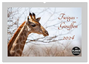 Twigas - Giraffen (Wandkalender 2024 DIN A2 quer), CALVENDO Monatskalender