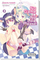No Game No Life, Please!, Vol. 3