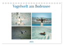 Vogelwelt am Bodensee 2025 (Tischkalender 2025 DIN A5 quer), CALVENDO Monatskalender