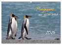 Pinguine aus aller Welt (Wandkalender 2024 DIN A2 quer), CALVENDO Monatskalender