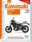 Kawasaki Z650/Z650RS