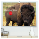 Büffel. Wisent und Bison (hochwertiger Premium Wandkalender 2024 DIN A2 quer), Kunstdruck in Hochglanz