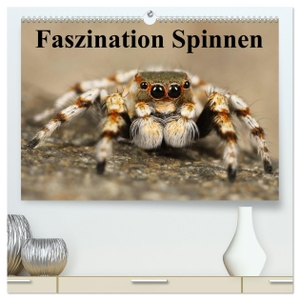 Stanzer, Elisabeth. Faszination Spinnen (hochwertiger Premium Wandkalender 2024 DIN A2 quer), Kunstdruck in Hochglanz - Die achtbeinigen Webkünstler aus der Nähe. Calvendo, 2023.