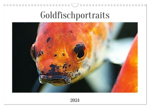 Wirtz, Hanne. Goldfischportraits (Wandkalender 2024 DIN A3 quer), CALVENDO Monatskalender - Goldfischportraits von Goldfsch, Shubunkin und Kometenschweif. Calvendo, 2023.