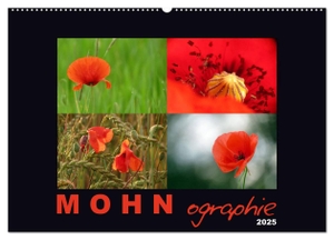 Giessl, Angelika. MOHNographie (Wandkalender 2025 DIN A2 quer), CALVENDO Monatskalender - Mit bezaubernden Mohnblüten durchs Jahr. Calvendo, 2024.
