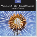 Wunderwerk Natur - Bizarre Strukturen - KUNTH Broschurkalender 2027