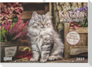 DuMonts Katzen Kalender 2027