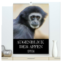 Augenblick der Affen 2024 (hochwertiger Premium Wandkalender 2024 DIN A2 hoch), Kunstdruck in Hochglanz