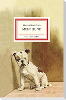 Mein Hund