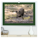 Schweinkram - Die Wildschweine sind los (hochwertiger Premium Wandkalender 2024 DIN A2 quer), Kunstdruck in Hochglanz