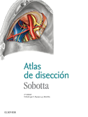Atlas de disección