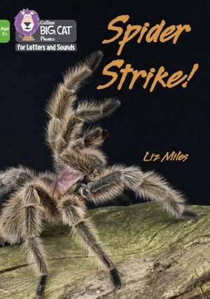 Miles, Liz. Spider Strike! - Band 05/Green. HarperCollins Publishers, 2021.