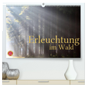 Erleuchtung im Wald (hochwertiger Premium Wandkalender 2025 DIN A2 quer), Kunstdruck in Hochglanz