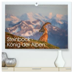 Oberholzer - www. davidoberholzer. ch, David. Steinbock - König der Alpen (hochwertiger Premium Wandkalender 2024 DIN A2 quer), Kunstdruck in Hochglanz - Der Alpensteinbock gilt als König der Alpen. Calvendo, 2023.