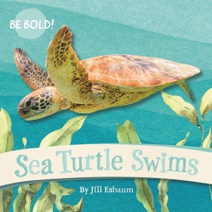 Esbaum, Jill. Sea Turtle Swims. Dover Publications, 2024.