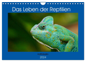 Das Leben der Reptilien (Wandkalender 2024 DIN A4 quer), CALVENDO Monatskalender