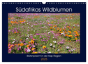 Südafrikas Wildblumen - Blütenpracht in der Kap-Region (Wandkalender 2025 DIN A3 quer), CALVENDO Monatskalender