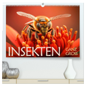 Insekten ganz gross (hochwertiger Premium Wandkalender 2025 DIN A2 quer), Kunstdruck in Hochglanz