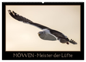 Möwen - Meister der Lüfte (Wandkalender 2024 DIN A2 quer), CALVENDO Monatskalender
