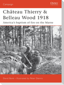 Château Thierry & Belleau Wood 1918