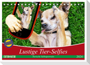 Lustige Tier-Selfies. Tierische Selbstportraits (Tischkalender 2024 DIN A5 quer), CALVENDO Monatskalender