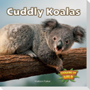 Cuddly Koalas
