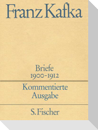 Franz Kafka: Gesammelte Werke in Einzelbänden in der Fassung der Handschrift