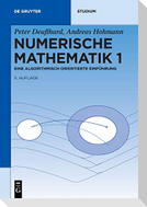 Numerische Mathematik 1