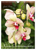 Kleine Orchideenschätze (Wandkalender 2025 DIN A4 hoch), CALVENDO Monatskalender